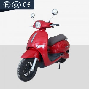 Electric Motorcycle With Pedal 1000W-2000W 60V30Ah72V20Ah 45kmh (EEC Certification)(Model LG) images001