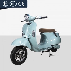 Electric Motorcycle With Pedal 1000W-2000W 72V20Ah 45kmh (EEC Certification)(Model LMJR) images001