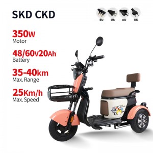 Electric Passenger Tricycle V3 350W 48V60V 20Ah 25kmh images01