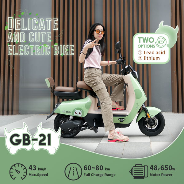 GB-21 650W 48V 2024Ah 43KmH Range 60-80Km Electric Bikes