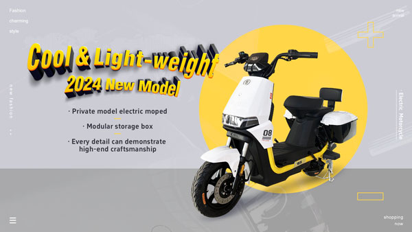 Electric Moped Bicycle Bike Scooter 800W 60V/72V 20Ah 40km/H (Private Model)(Model: GB-58) 1